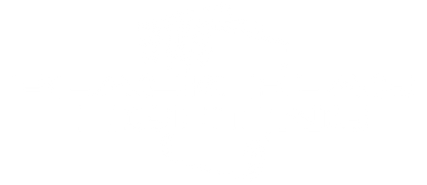 BlackFlagLighting logo